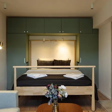 Sunny Modern - Cismigiu Park & Old Town Apartment Bukarest