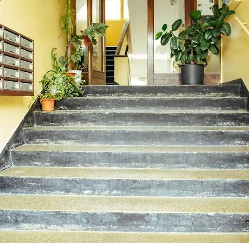 Sunny Modern - Cismigiu Park & Old Town Bucureşti