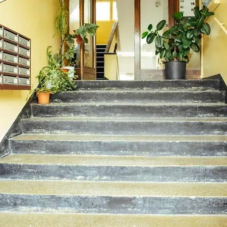 Sunny Modern - Cismigiu Park & Old Town 布加勒斯特